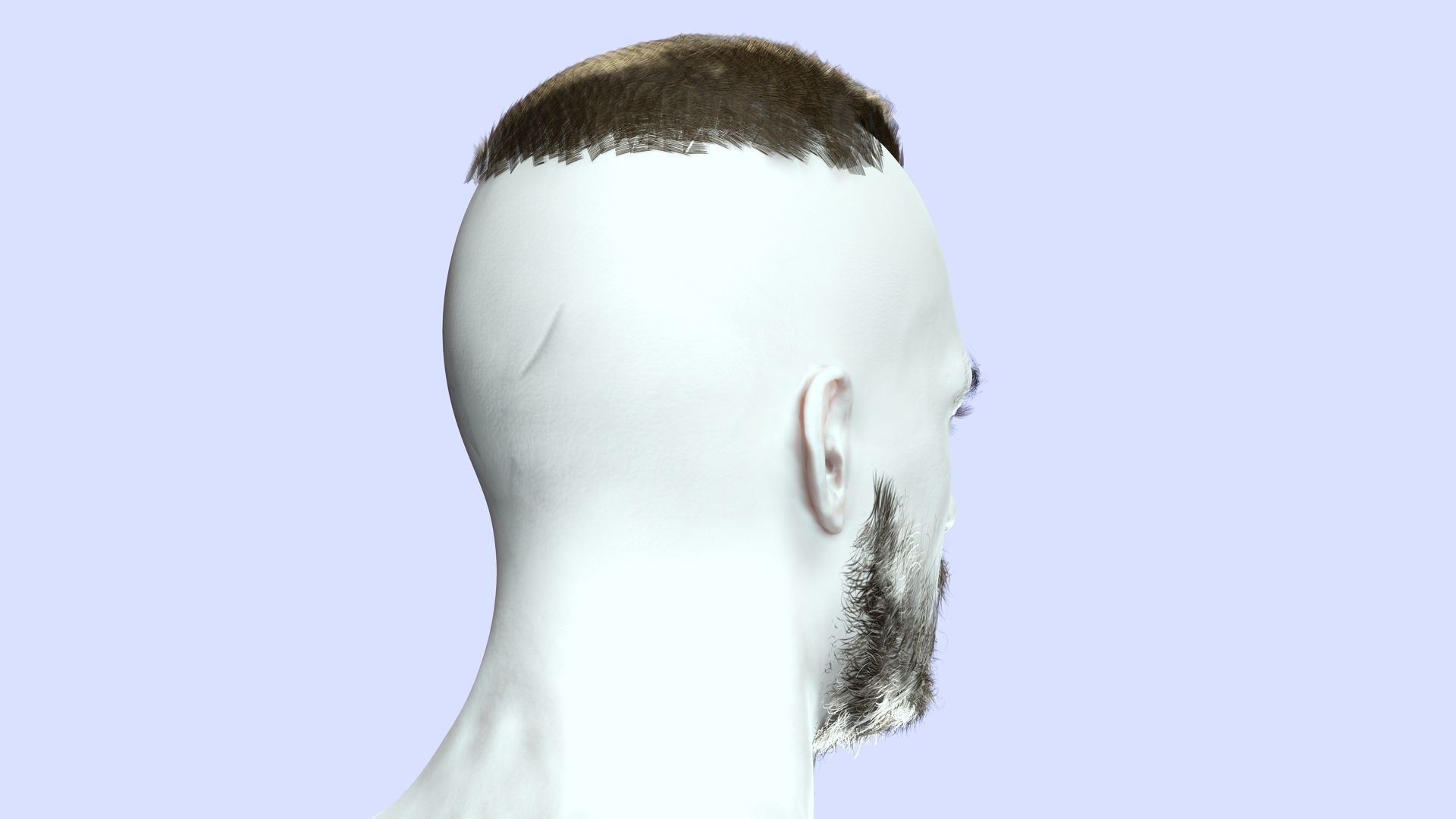 Realistic Male Hair - Buzz Hair Cut Low-poly 3D model_12