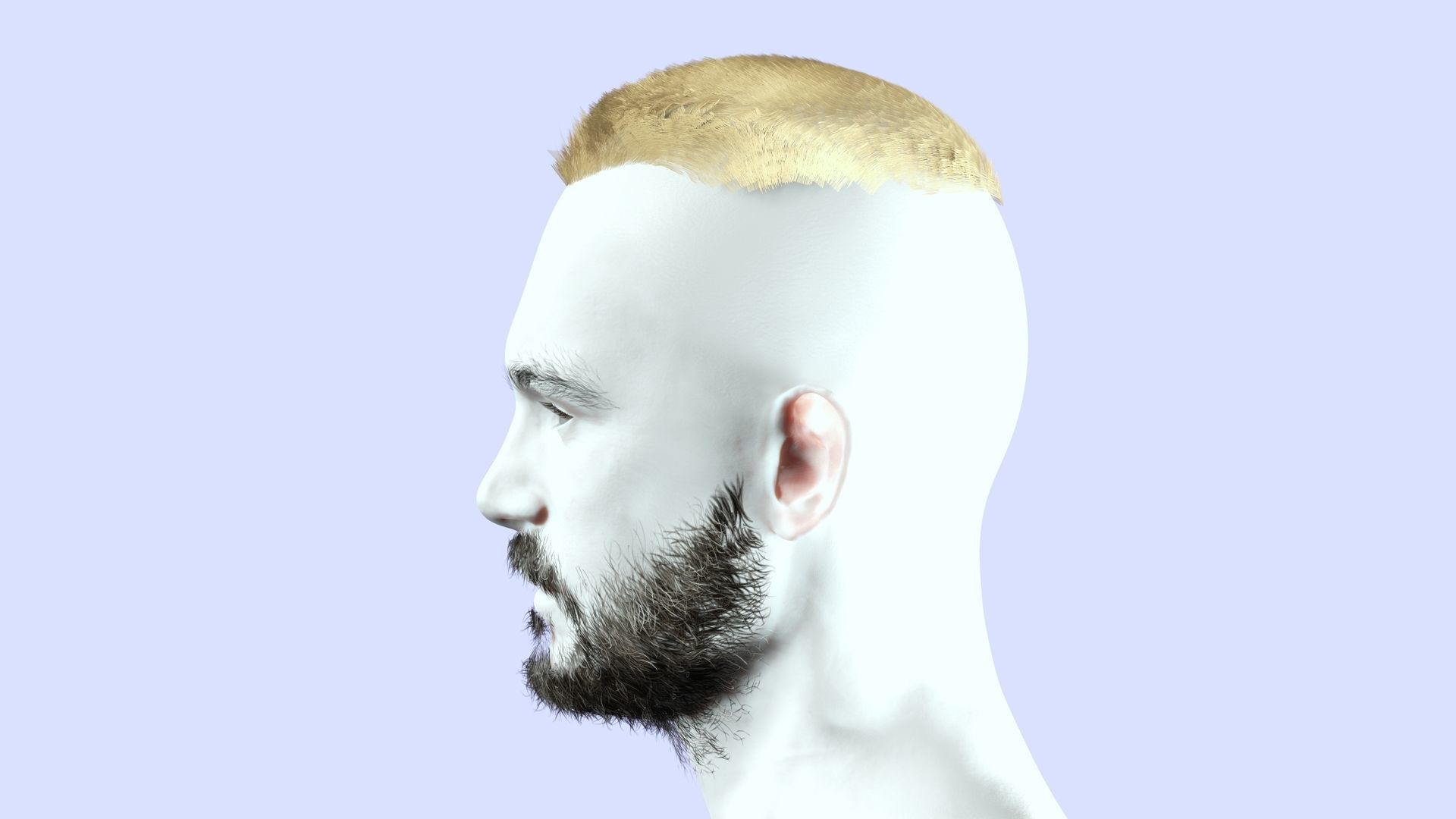 Realistic Male Hair - Buzz Hair Cut Low-poly 3D model_5