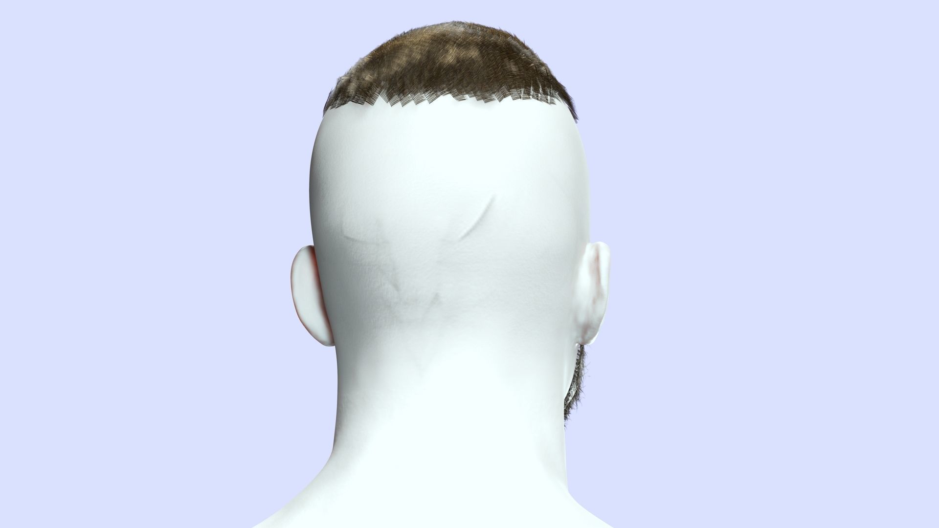 Realistic Male Hair - Buzz Hair Cut Low-poly 3D model_11