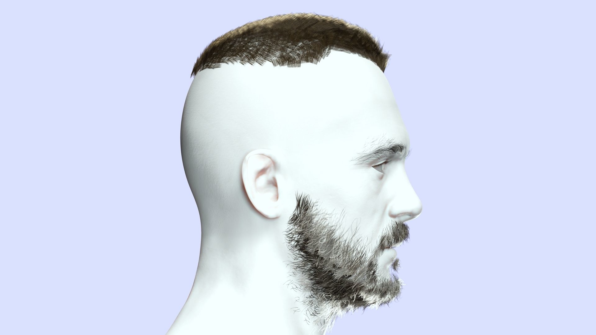 Realistic Male Hair - Buzz Hair Cut Low-poly 3D model_13