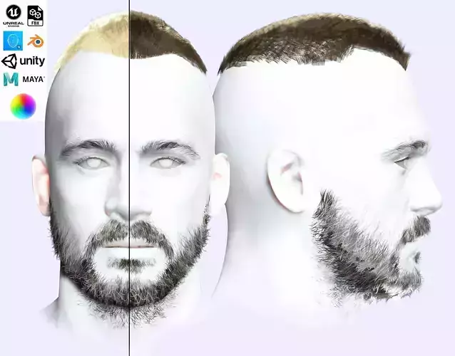 Realistic Male Hair - Buzz Hair Cut