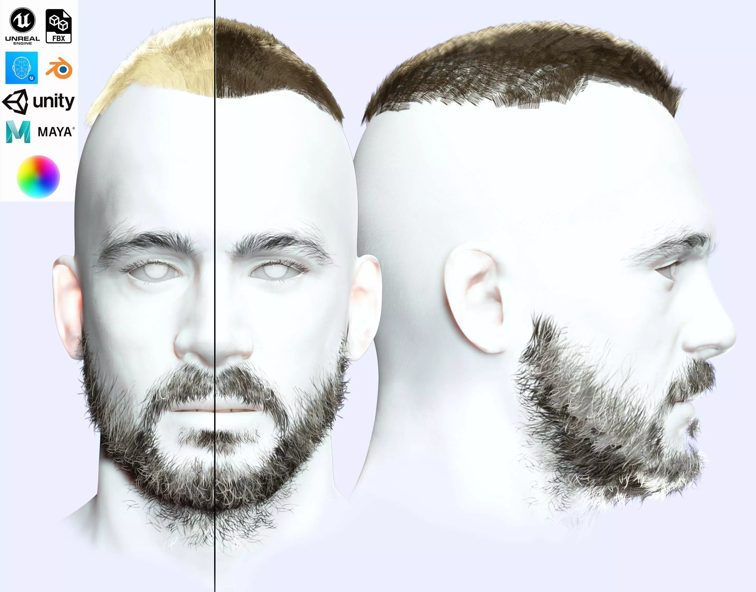 Realistic Male Hair - Buzz Hair Cut Low-poly 3D model_0