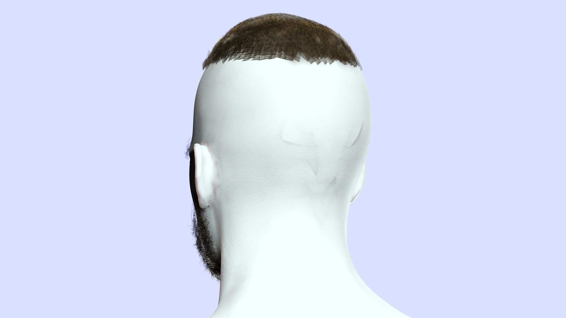 Realistic Male Hair - Buzz Hair Cut Low-poly 3D model_10
