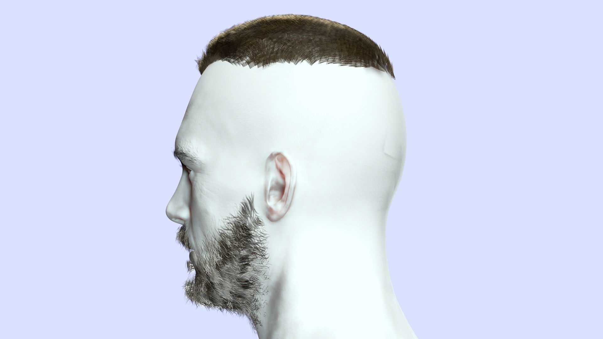 Realistic Male Hair - Buzz Hair Cut Low-poly 3D model_9