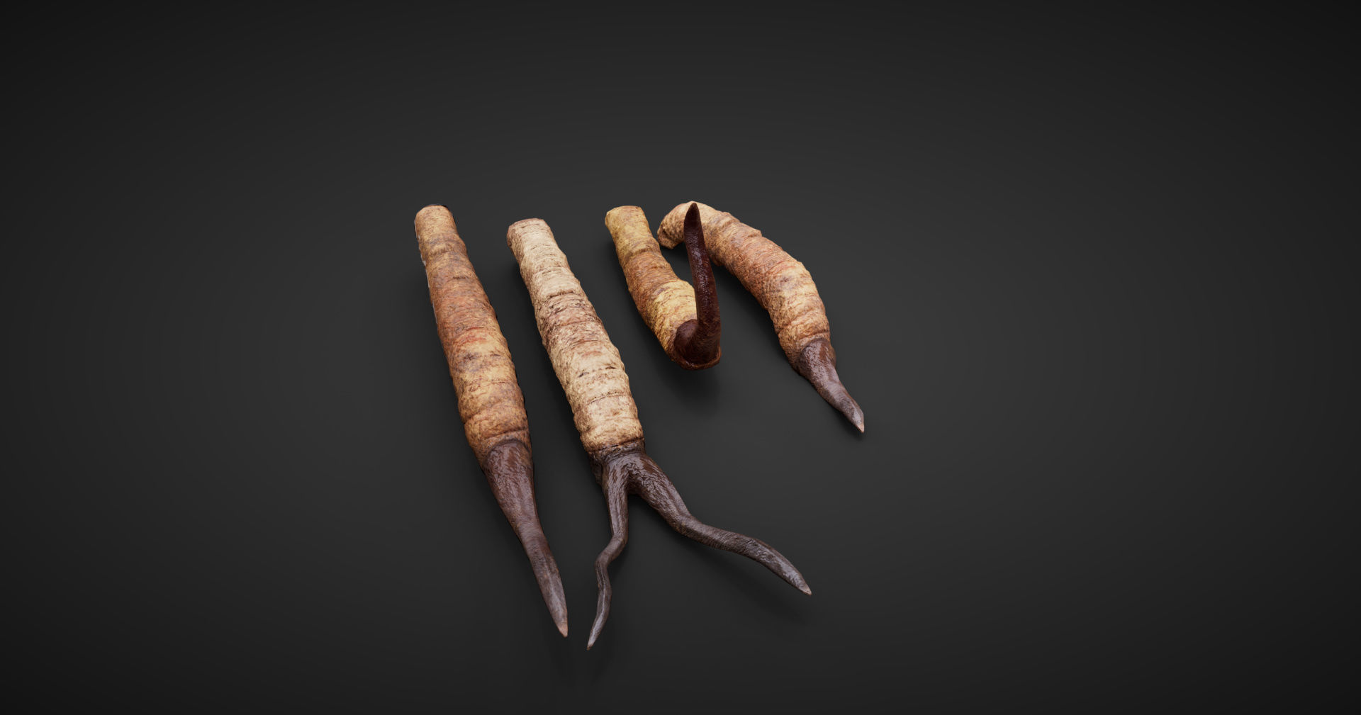 insect Low-poly 3D model_2