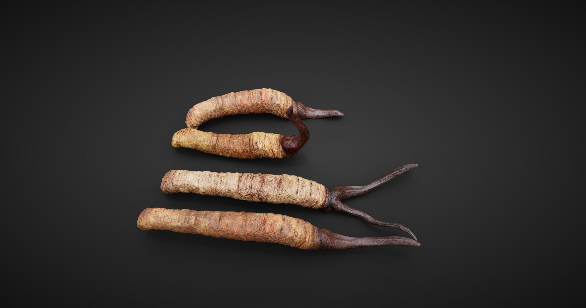 insect Low-poly 3D model_1