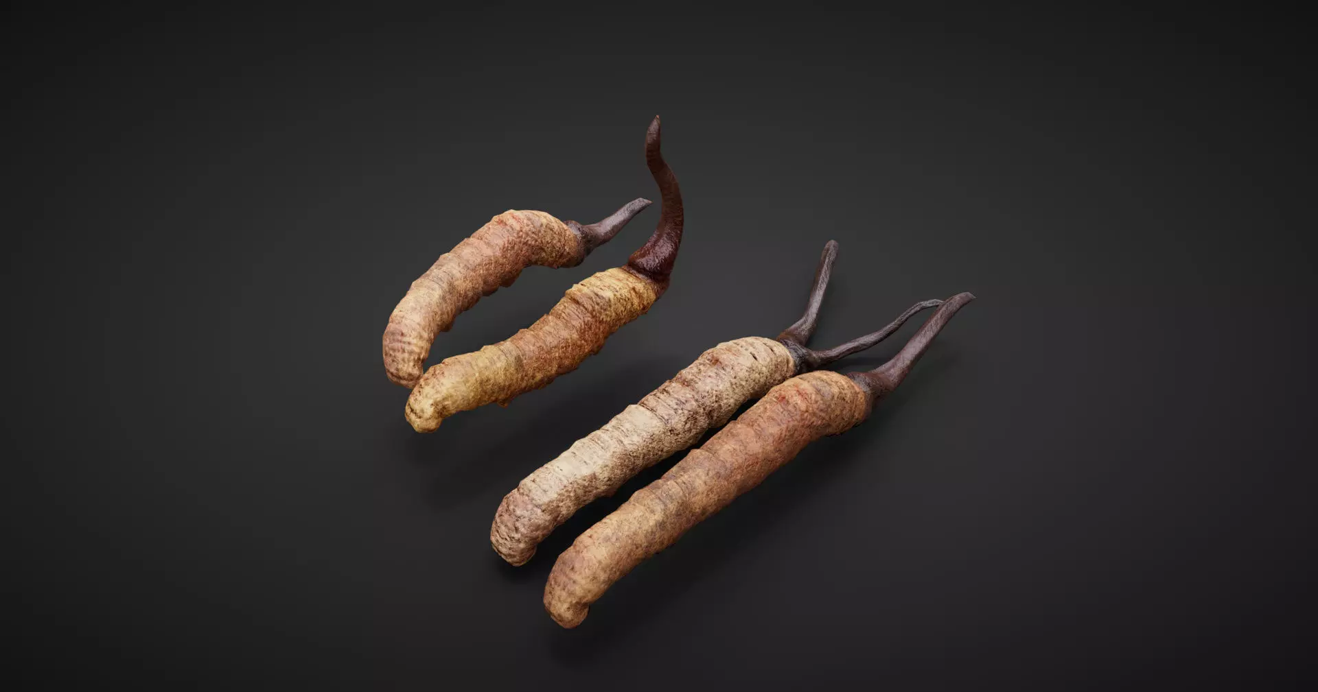 insect Low-poly 3D model_0