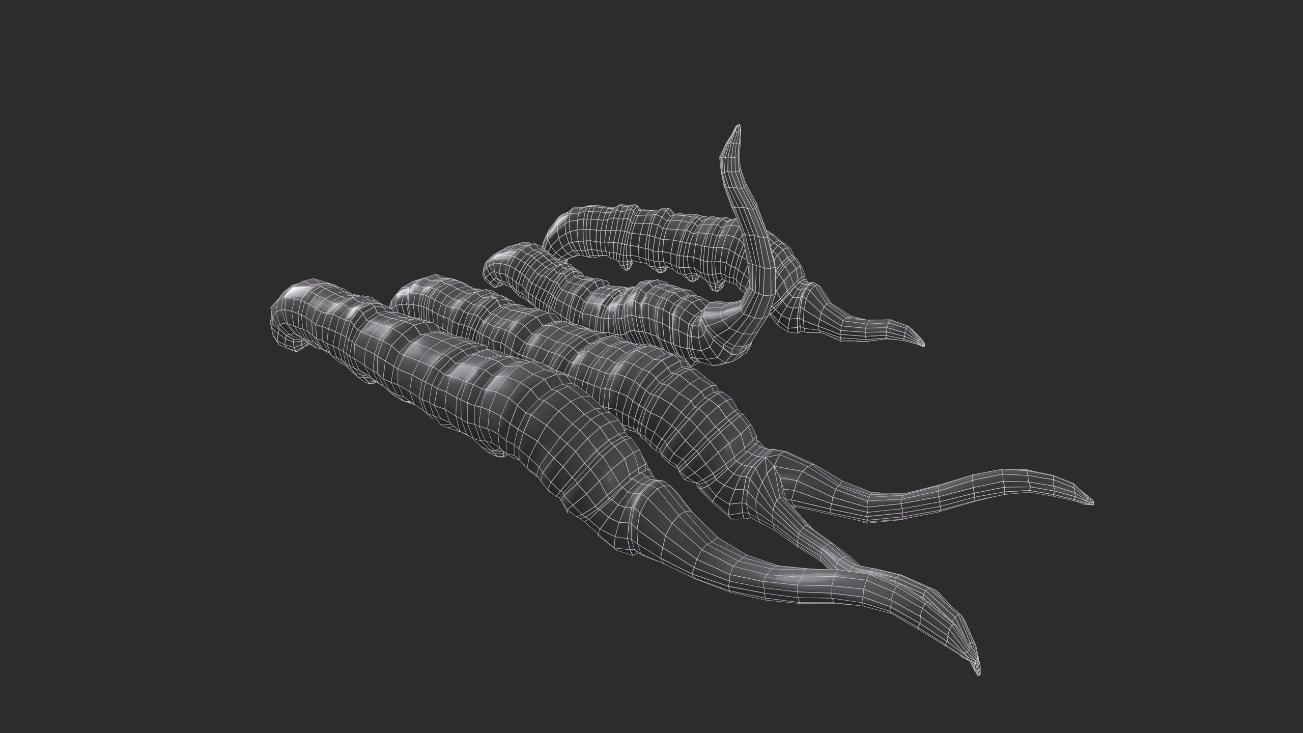 insect Low-poly 3D model_7