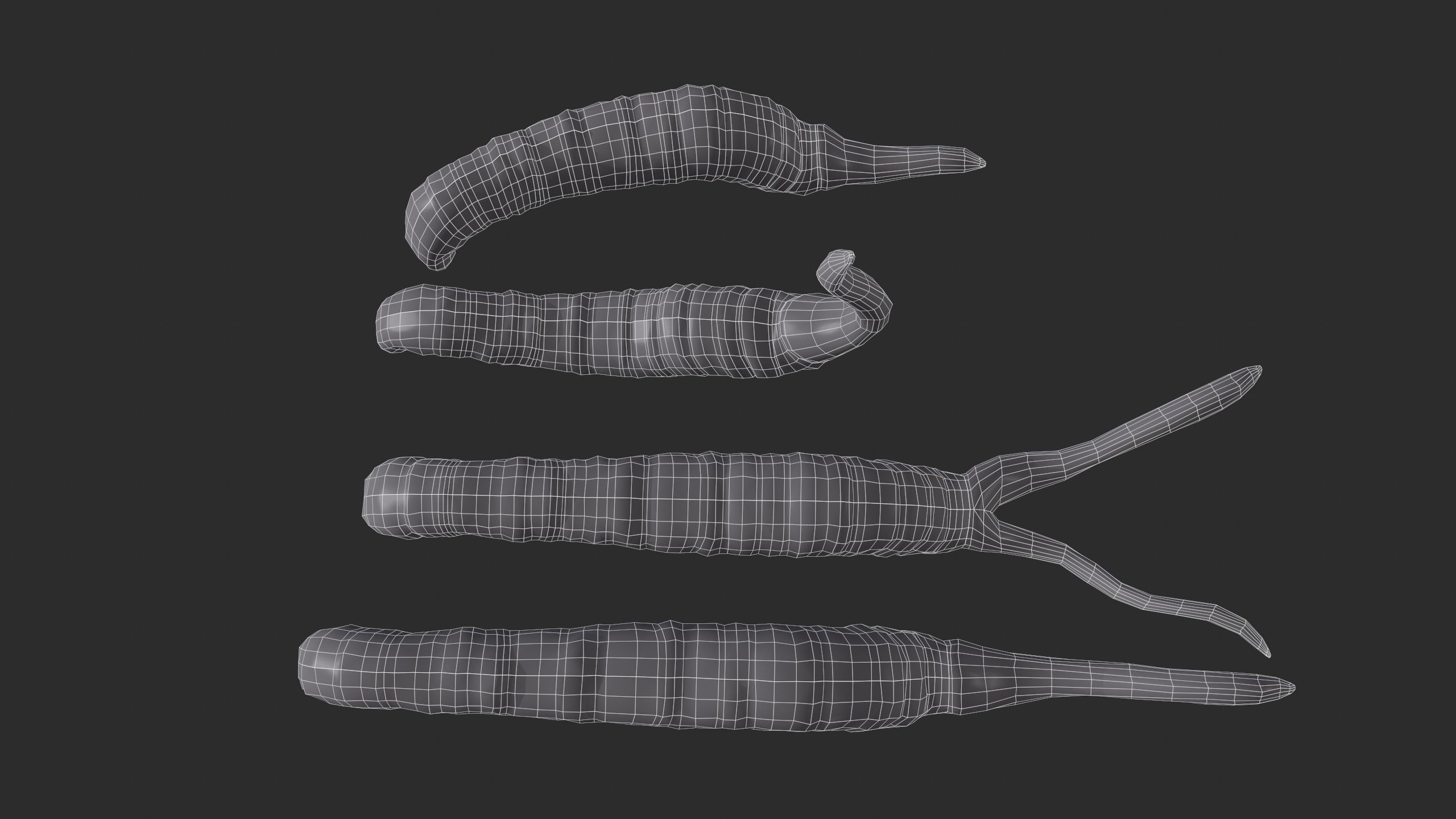 insect Low-poly 3D model_6