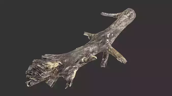 Realistic tree trunks with branches