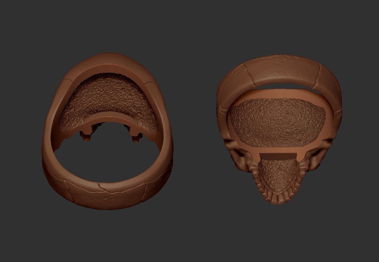 Jawless Skull ring with ring size chart 3D print model_4