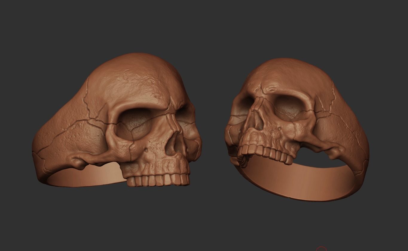Jawless Skull ring with ring size chart 3D print model_2