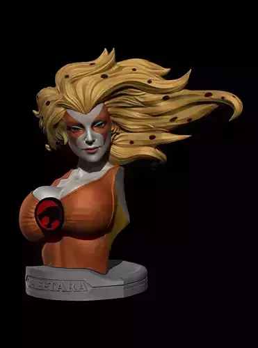 Cheetara Bust Lunatacs Thundercats STL STL 3d printing 3D print model