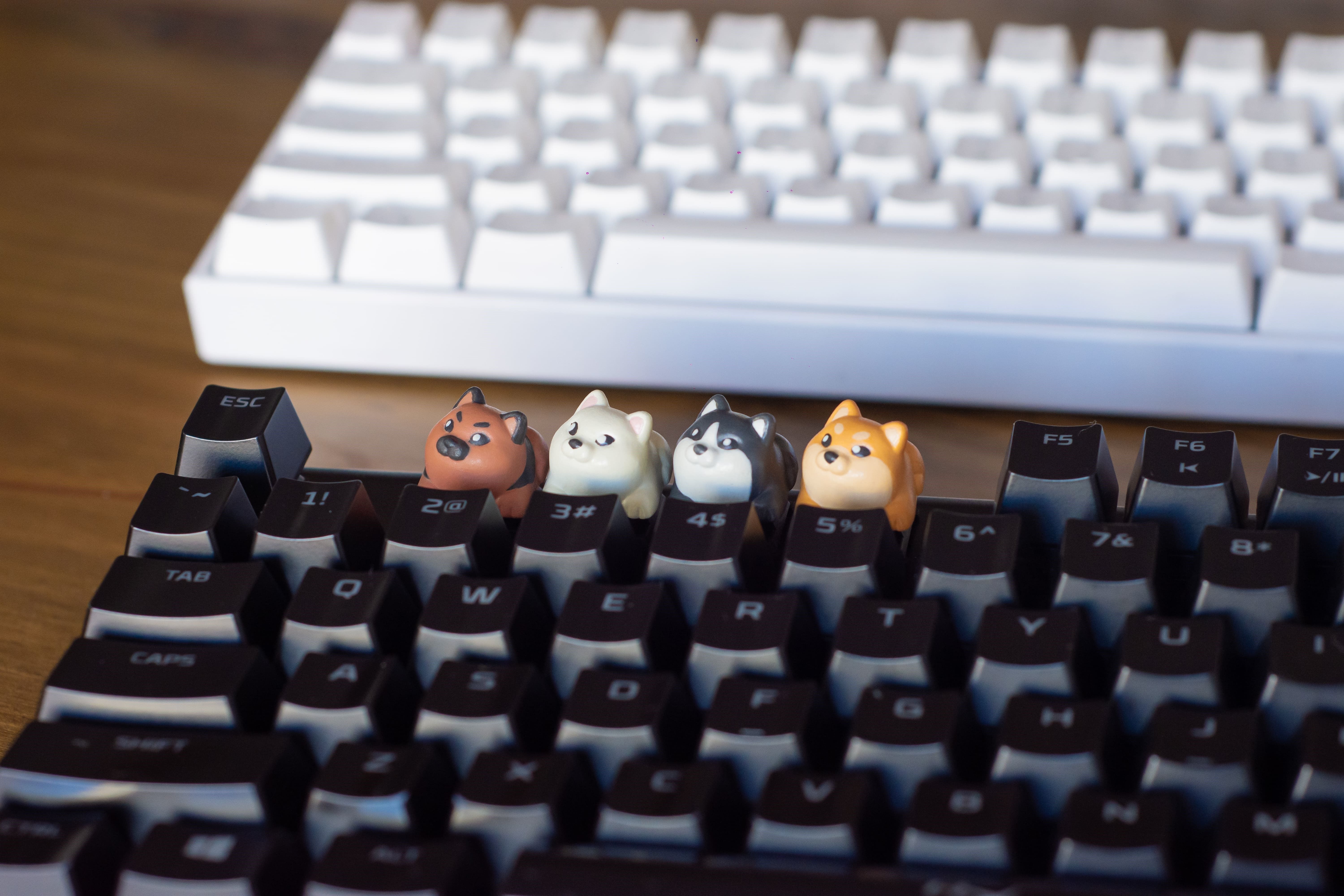 Doggies keycaps - Mechanical Keyboard 3D print model_2