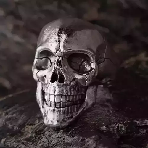 Classic skull ring with ring size chart 3D print model