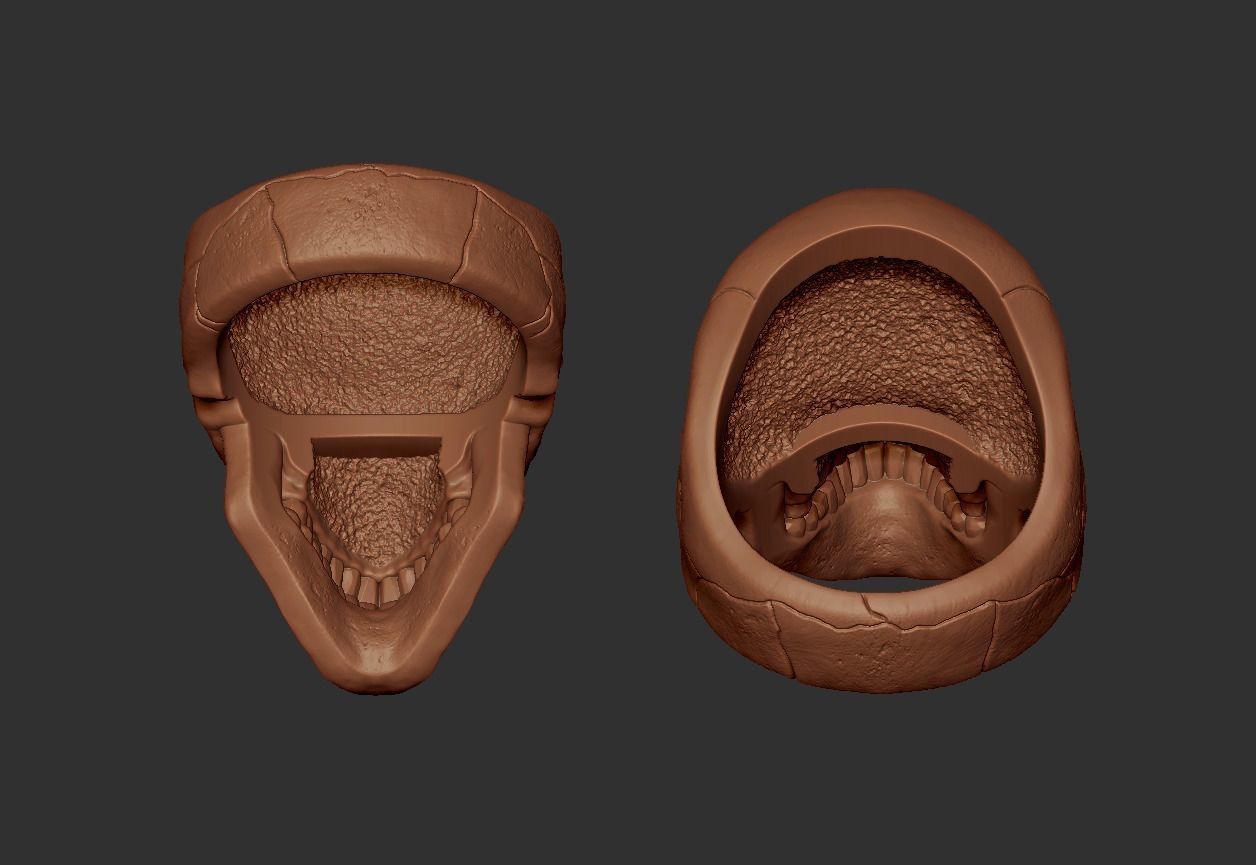 Classic skull ring with ring size chart 3D print model_4