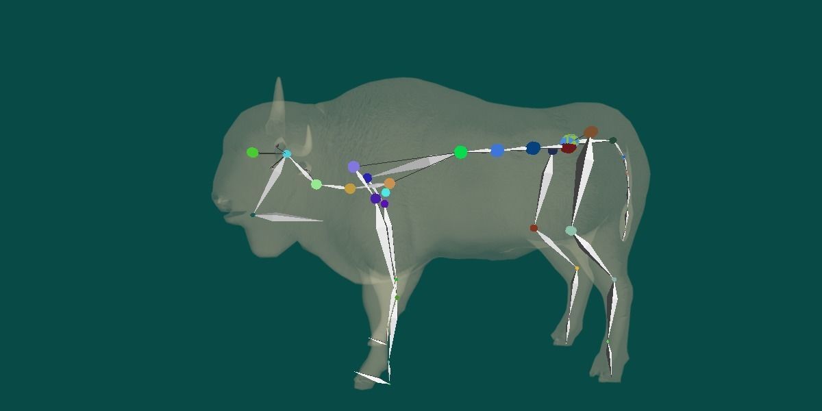 European Bison Male 3D model_4