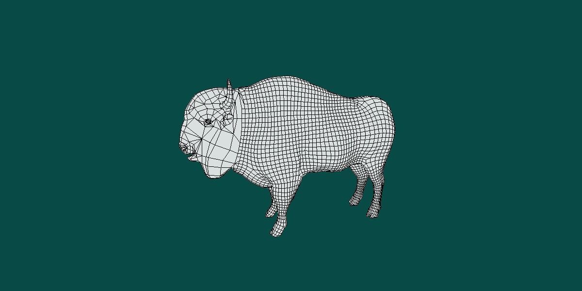 European Bison Male 3D model_5