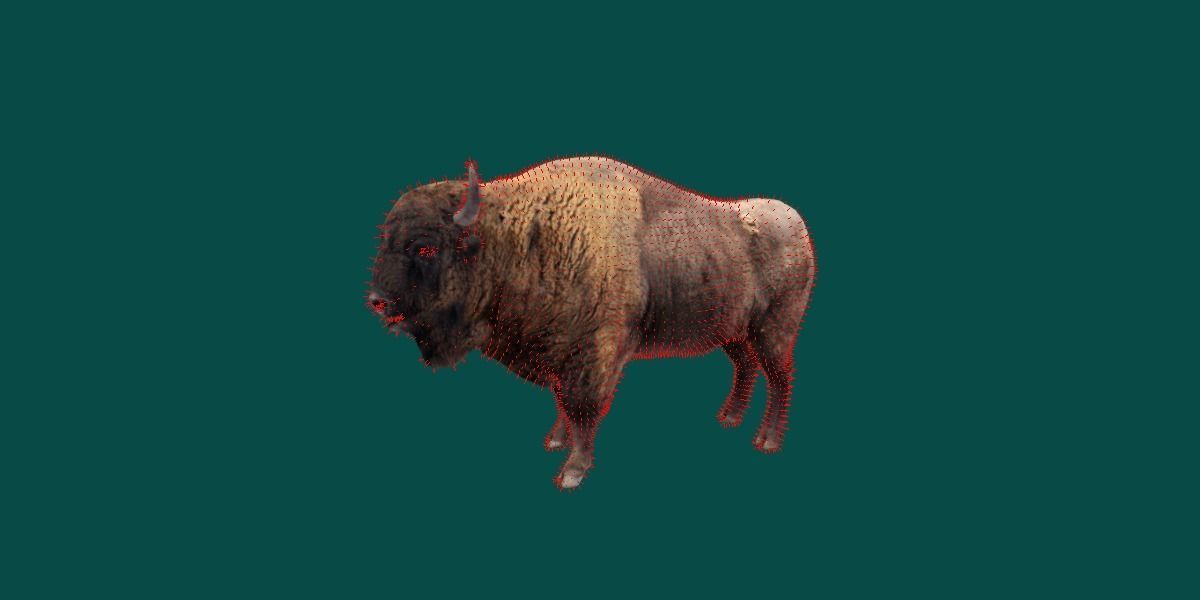 European Bison Male 3D model_6