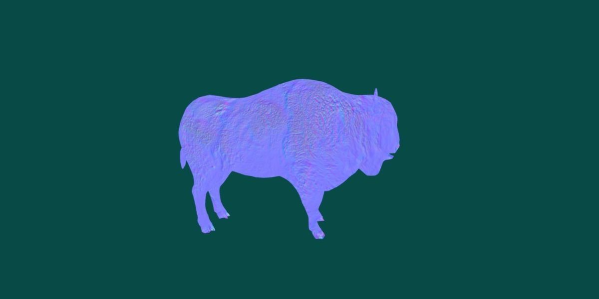 European Bison Male 3D model_13