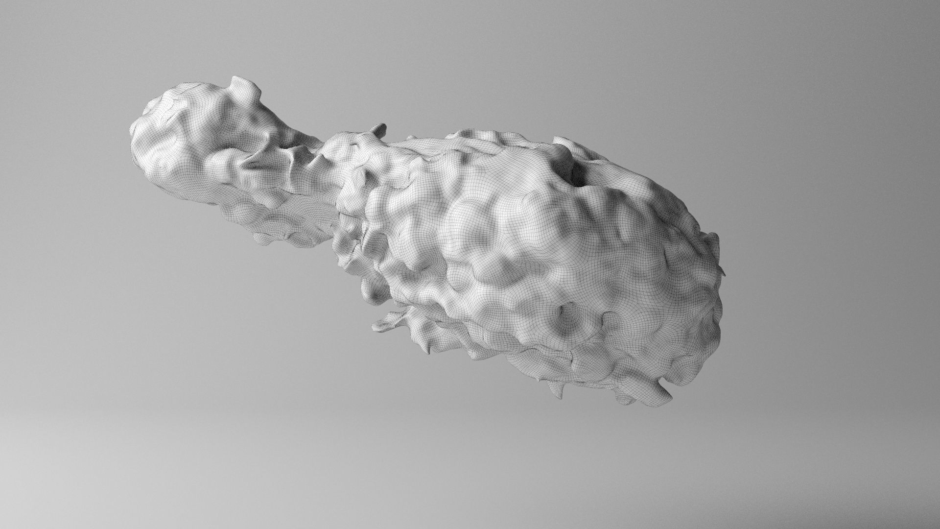 CHICKEN FRIED Low-poly 3D model_4