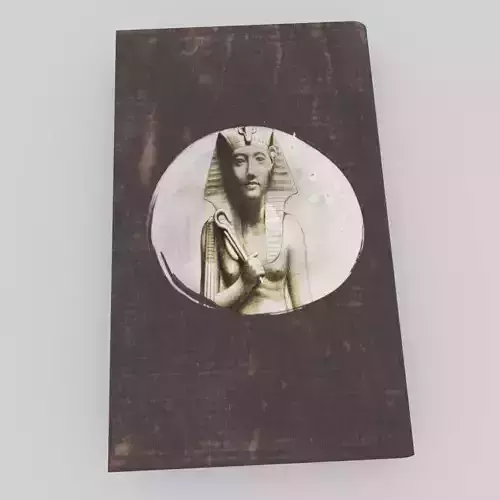 Egyptian Pharaonic book