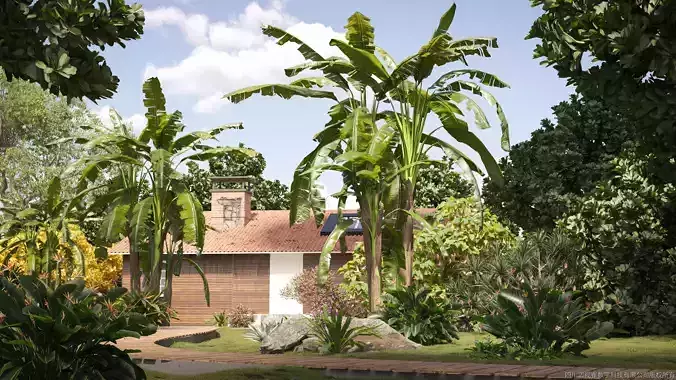 Maxtree Plant Models Vol 72 Low Poly - Mesh