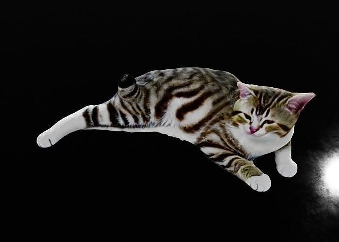 Relaxing Cat Sculpture Low-poly 3D model