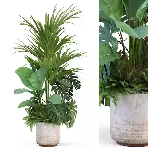 Plants collection 1021 3D model