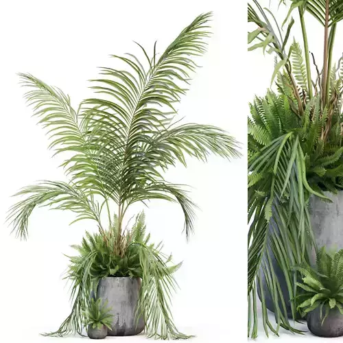 Plants collection 1023 3D model