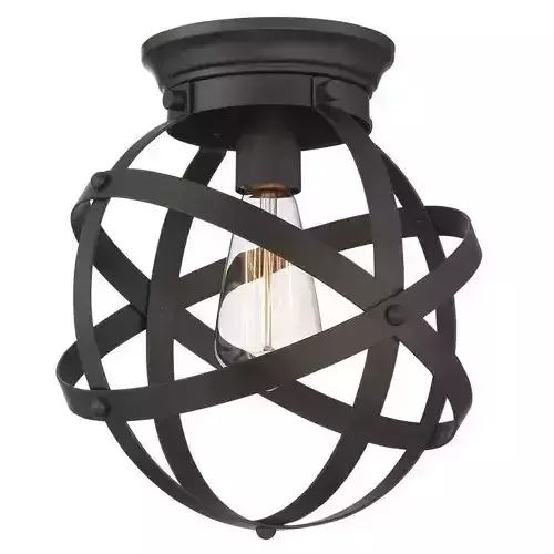 Walck Light Caged Globe Flush Mount