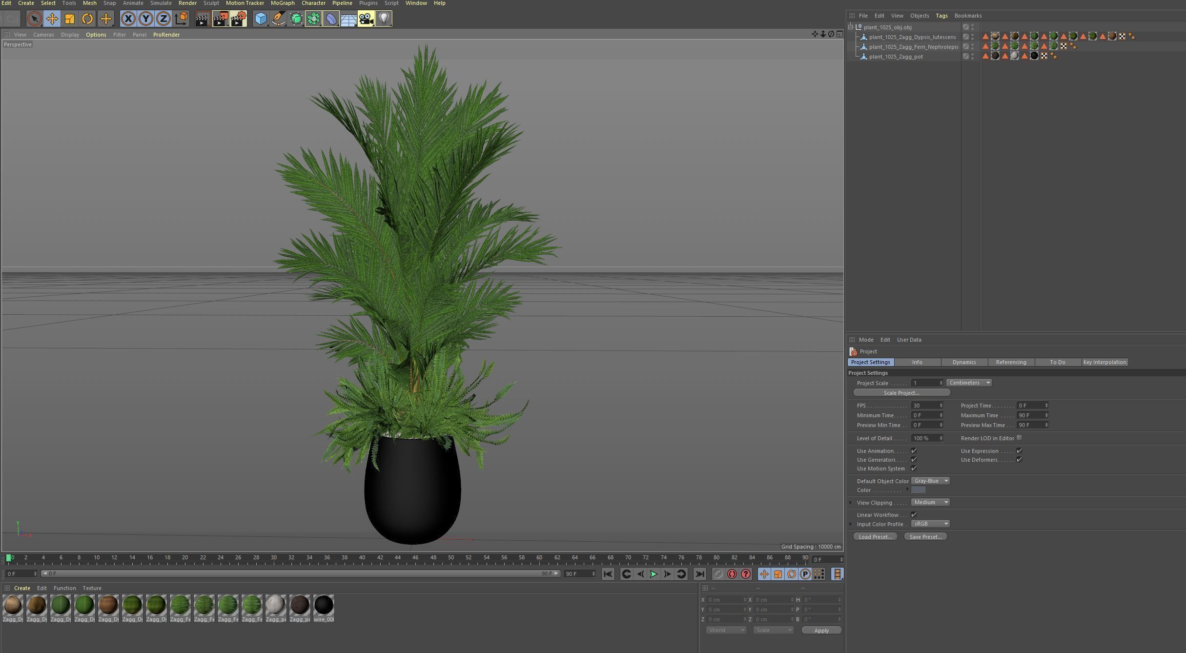 Plants collection 1025 3D model_7
