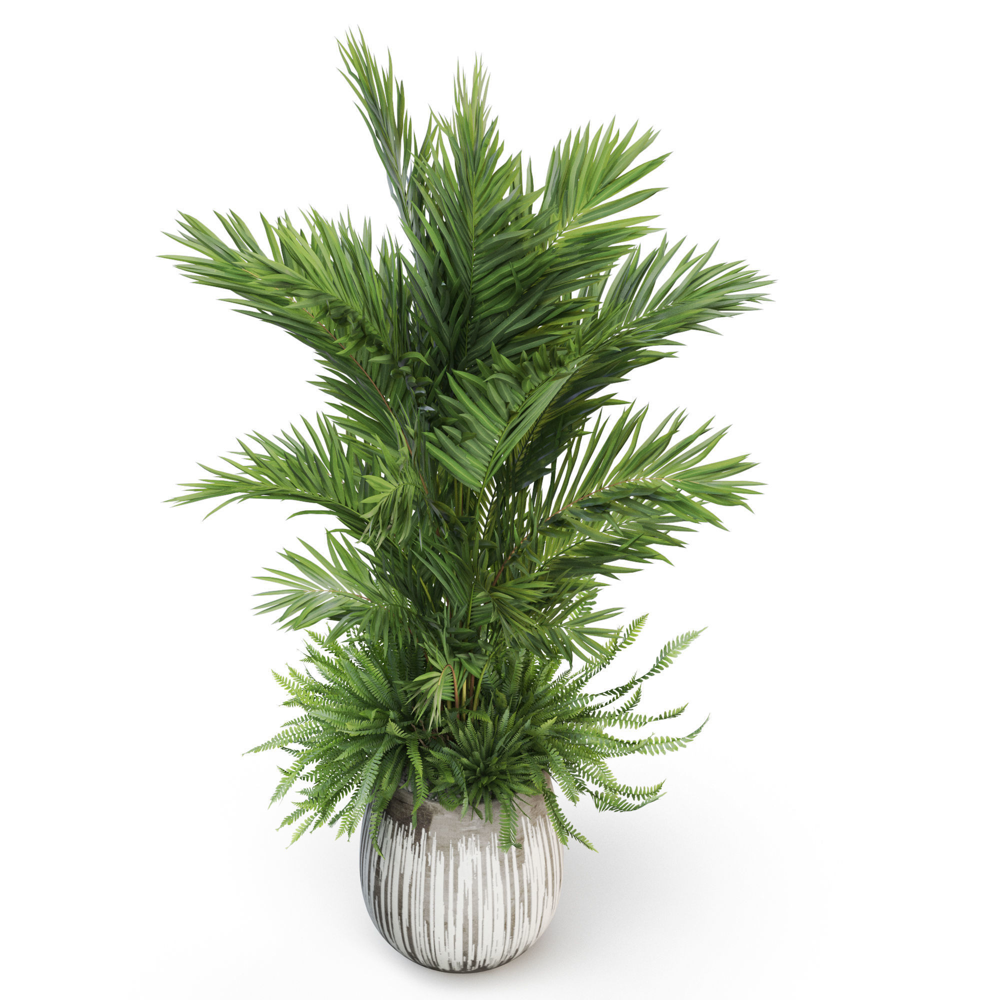 Plants collection 1025 3D model_3