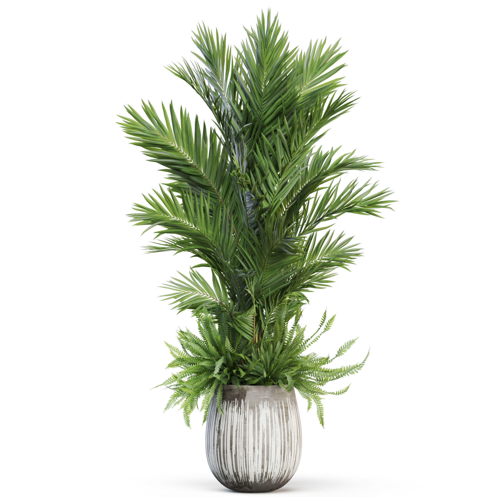 Plants collection 1025 3D model_1
