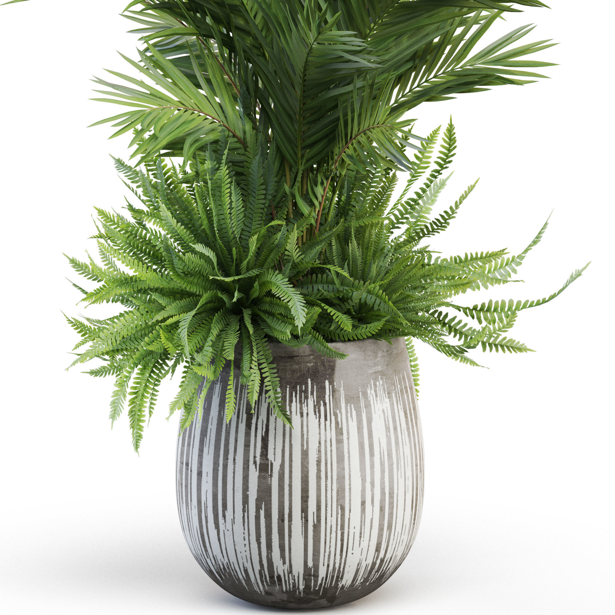 Plants collection 1025 3D model_2