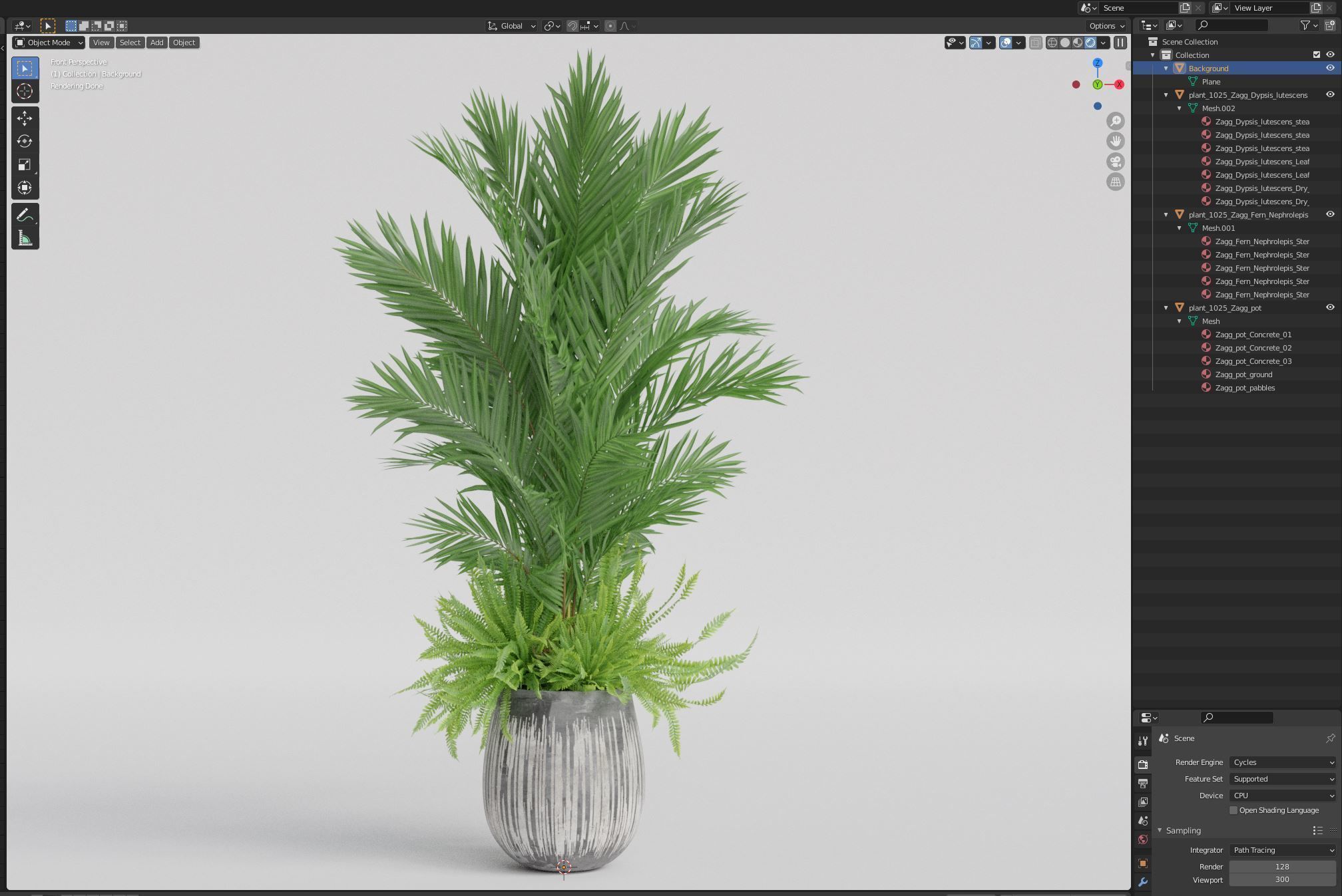 Plants collection 1025 3D model_6