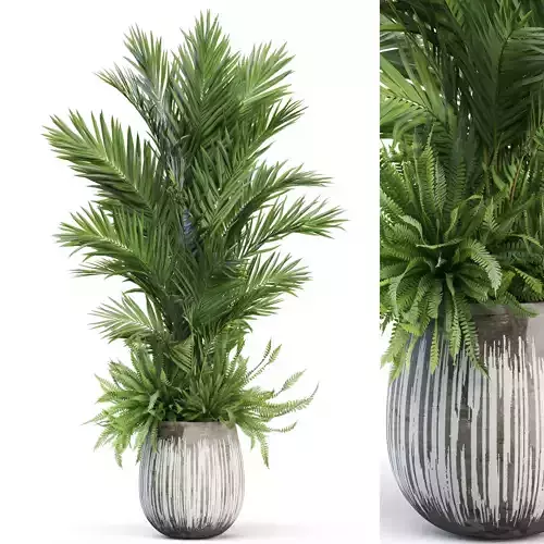 Plants collection 1025 3D model