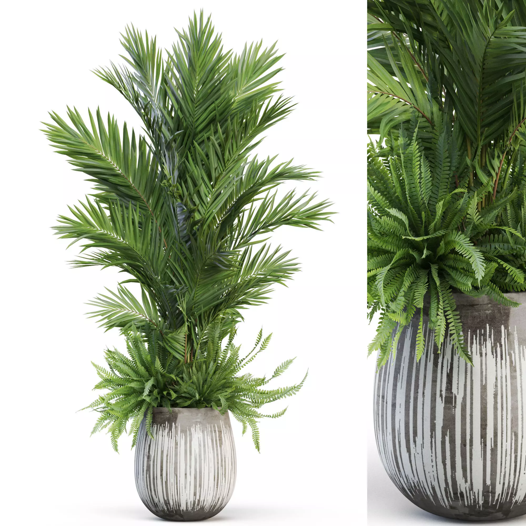 Plants collection 1025 3D model_0