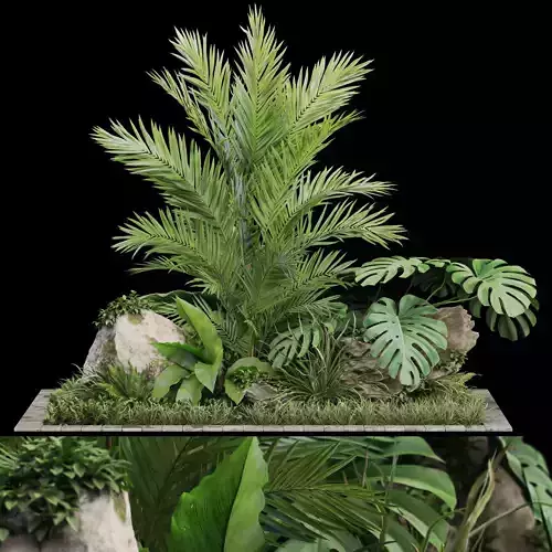 Plants collection 1026