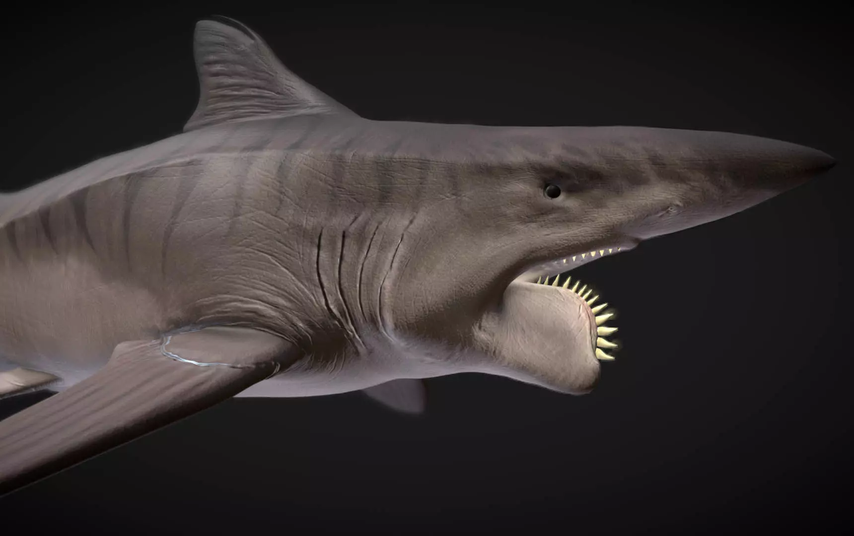 Helicorpion Low-poly 3D model_0