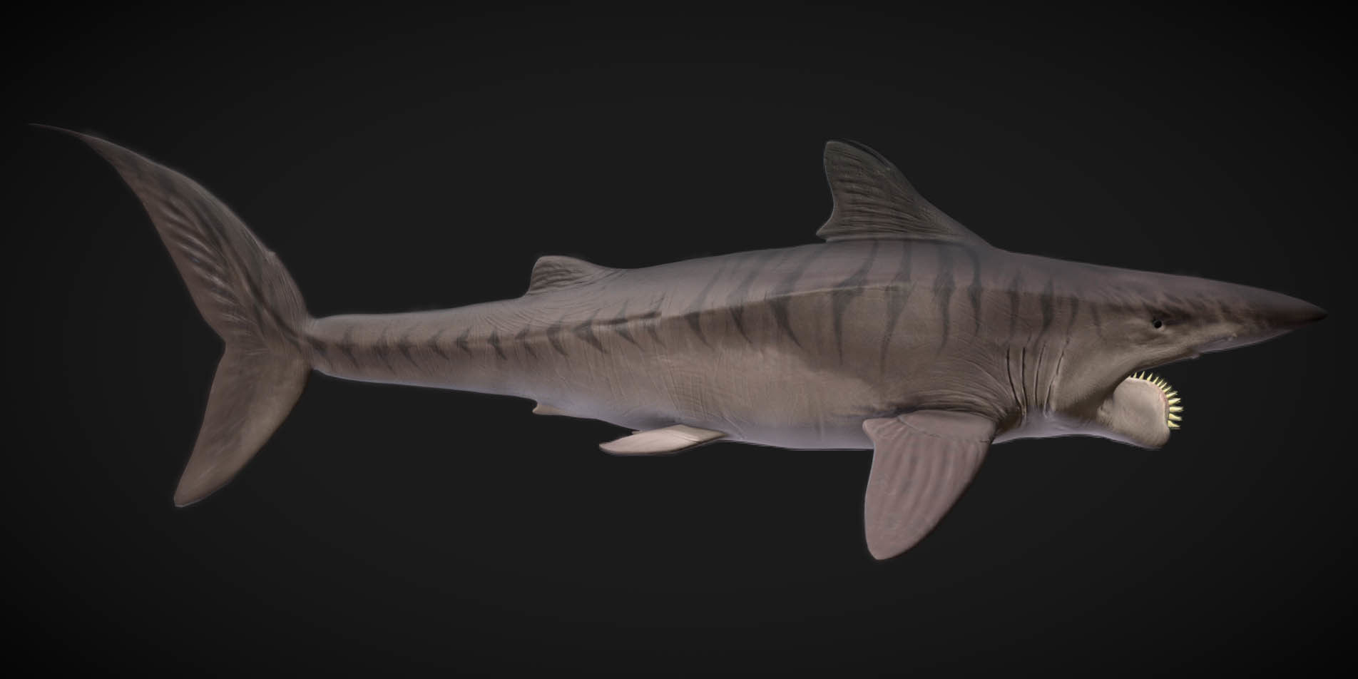 Helicorpion Low-poly 3D model_2