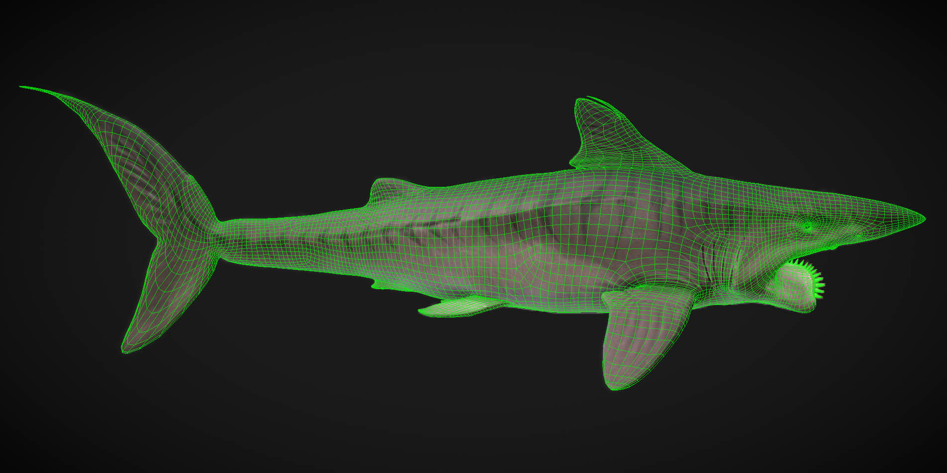 Helicorpion Low-poly 3D model_1