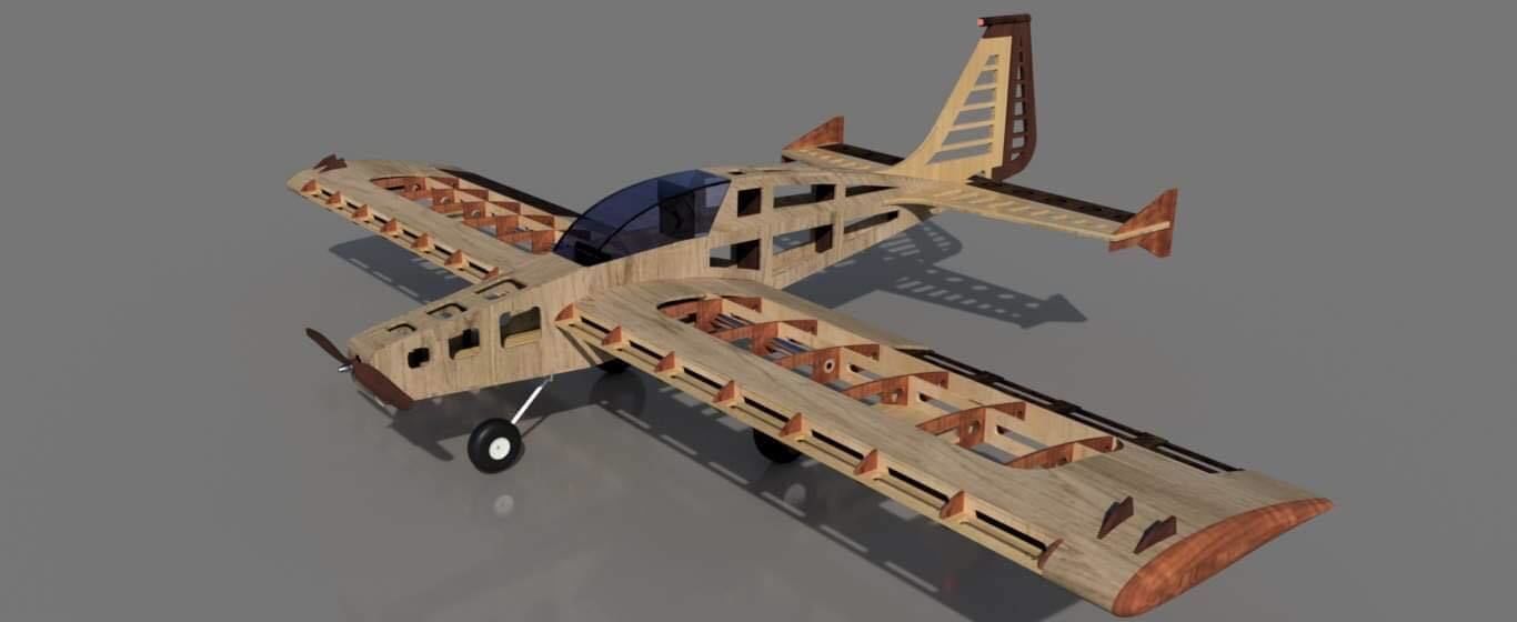 SS RC Plane 1 3D model_6