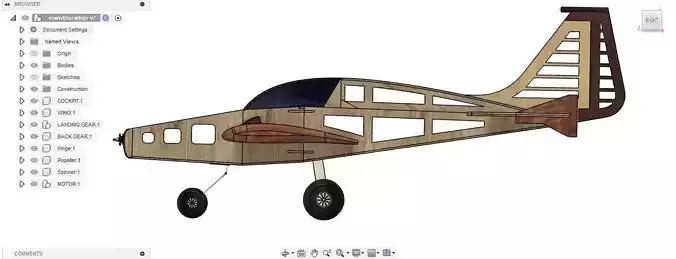 SS RC Plane 1