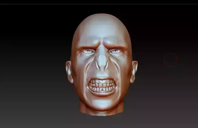 Lord Voldemort head from Harry Potter