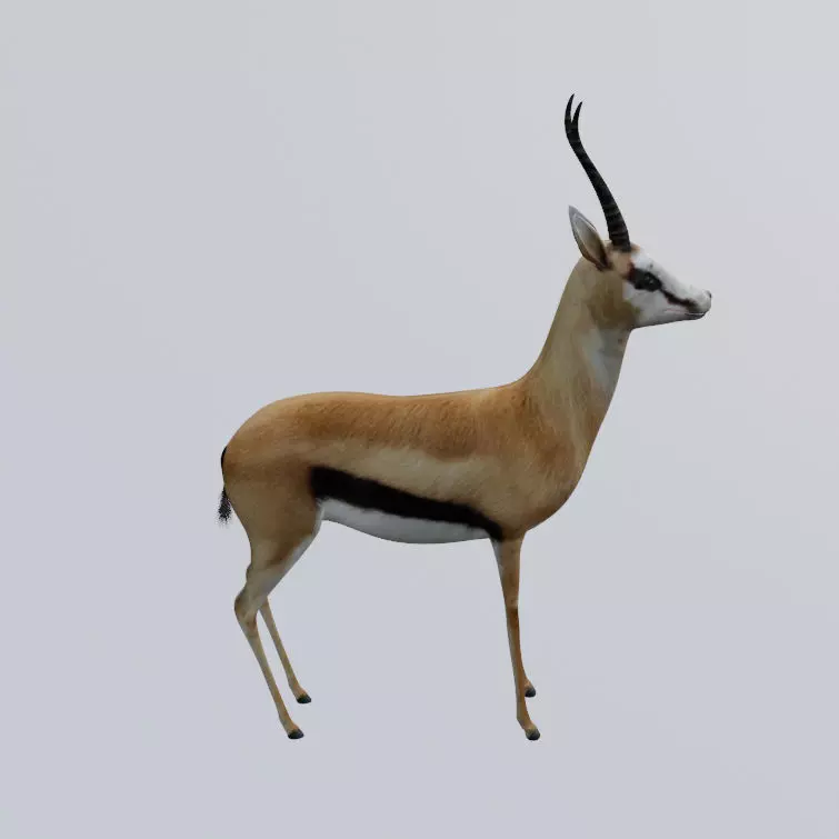 Antelope Low-poly 3D model