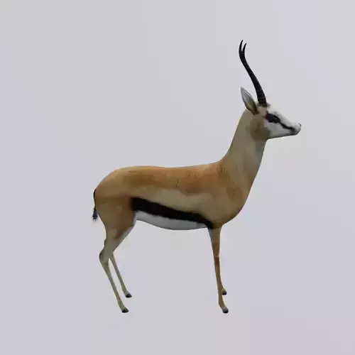 Antelope Low-poly 3D model