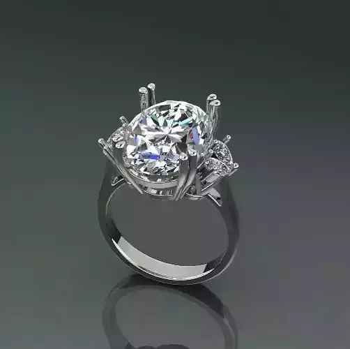 Ring Model 4855