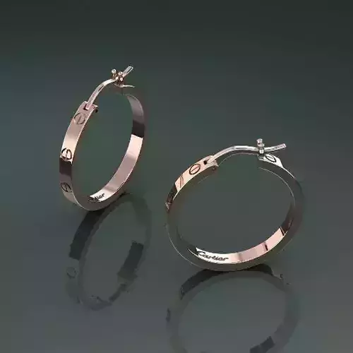 Earrings with bolts Model 4844