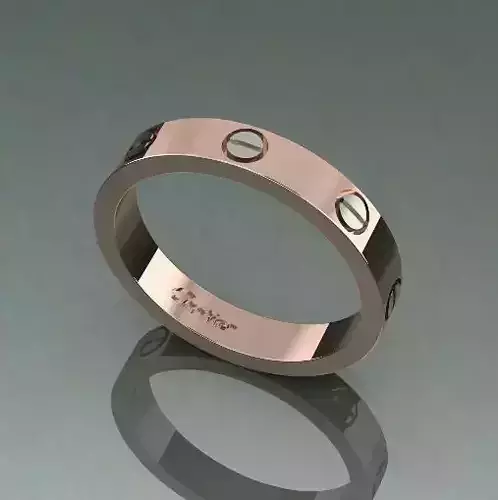 Ring with bolts Model 4839